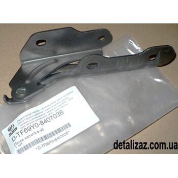 Петля капота правая Ланос, Сенс. ЗАЗ. TF69Y0-8407038