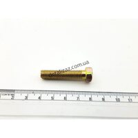 Болт крепления фланца к тормозному диску Таврия 110206-3501071