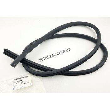 Уплотнитель проема задней двери Ланос GM 96265814