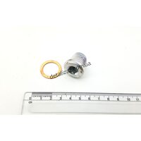 Пробка поддона Таврия Украина 965-1701285