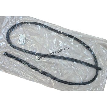 Уплотнитель лобового стекла Лачетти GM 96543951