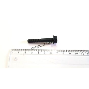 Болт крышки распредвала 1.6 GM 94500901