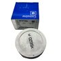 Поршень стандарт Эпика 2.0 GM 96307654