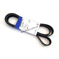 Ремень генератора Авео 1.5-1.6 Лачетти 1.6, 1.8LDA 6РК1875 GM 25183021